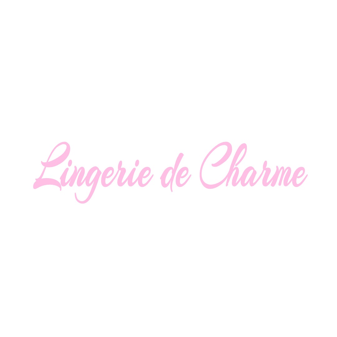 LINGERIE DE CHARME SAINT-DYE-SUR-LOIRE